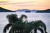 Palm tree in a bay at sunset, Mar del Cortez, Sonora Bay, Mexico, America