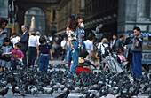 Tauben auf Domplatz, Mailand, Lombardei, Italien