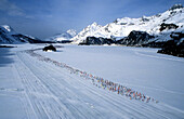 Engadiner Ski- Marathon