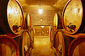 Barrels at winery Aldo Conterno, Monforte d' Alba, Piedmont, Italy, Europe