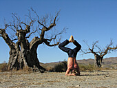 Man meditating in a yoga position near a tree, Yoga, Andalusia, Spain