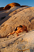 Mann beim Klettern, Freeclimber, Lake Powell, Arizona, USA