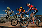 Mountainbike-Joshua Tree National Park, Joshua Tree National Park California-USA