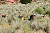 A group of people hiking in the countryside, Arizona, USA