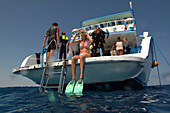 Freediving, Soma Bay, Red Sea, Egypt