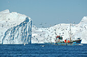 Fischkutter zwischen Eisbergen, Ilulissat, Jakobshavn, Kaalalit Nunaat, Grönland
