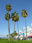 Venice beach, California, USA