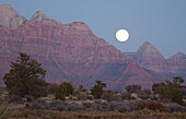 Moonlight, Gooseberry Trail, Zion Nationalpark Springdale-Utah-USA