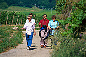 Hikers near Ruedesheim, Rheingau, Hesse, Germany