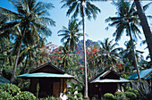 Bungalowanlage RaiLey Village Resort, RaiLey Beach, Krabi Thailand