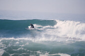 Surfer on a wave