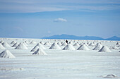 Salt plains with pillars of salt, Salar de Uyuni, Bolivia