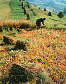 Peasant Woman, Maramures Romania