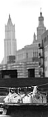 Roofs of Downtown, Woolworth Building left, , Manhattan, New York, USA