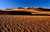 Landscape, Grand Erg Occidental, Algerien, Sahara, Grand Erg Occidental, Landschaft Wueste, Sandduenen, Duenen, Afrika