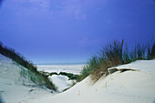 Duns and sands of the North sea, Norderney, Ostfriesische Inseln, Ostfriesland, Lower Saxony, Germany