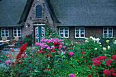 Reetdach-Haus, Keitum, Sylt, Nordfriesische Inseln Deutschland