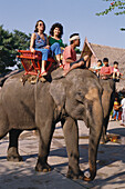 Elefantenreiten fuer Touristen, Thailand