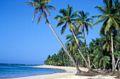 Palm beach Las Terrenas, Dominikanische Republik, Caribbean, America