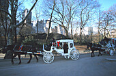Pferdekutschen im Central Park, New York, USA, Amerika