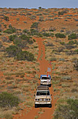 Zwei Autos fahren durch Simpson Desert, Rote Sanddünen,  Reise entlang französische Linie, Queensland, Simpson Wüste, Australien