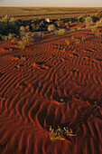 Australia, ripples in red sand dune in outback South Australia