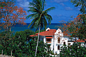 Villa in Black Rock, Tobago, West Indies, Caribbean