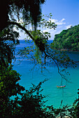 Pirate´s Bay near Charlotteville, Tobago, West Indies, Caribbean