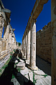 Säulengang, Antike Stadt Hierapolis bei Pamukkale, Türkei