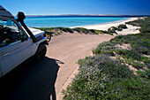 Car driving down to a sandy beach with an ocean view, Shark Bay, Western Australia, Australia