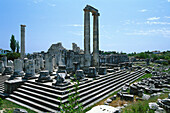 Temple of Apollo, Antique sanctuary of Didyma, Turkey