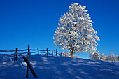 Snow covered landscape, Winter landscape
