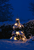 Fir tree with Christmas lighting, winter landscape