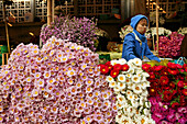 Flowers, Blumen, Markt, Bago, Myanmar