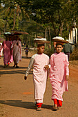 Nuns walk in a line to collect alms, Bago, Nonnen in rosa Roben, gehen in Reihe, Almosen sammeln, bekommen ungekochten Reis, Moenche, gekochten Reis