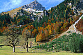 Autumn, Eng, Karwendel Mountains Tyrol, Austria