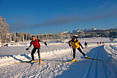 Cross-country skiing, Ramsau Styria, Austria