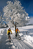Two women riding bicycles on snow covered road, Ramsau, Styria, Austria, Europe
