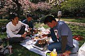 Picknick, Cherry flower celebration, Imperial Palace Park, Kyoto, Japan, Asia