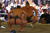 Sumo wrestlers, Yasukuni Jinja Shrine, Tokyo, Japan