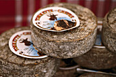 Goat cheese, Provence France