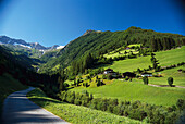 Grüne Wiesen im Tauferer Ahrntal unter blauem Himmel, Pustertal, Südtirol, Italien, Europa
