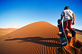 Sandboarder on a dune, Namibia, Africa