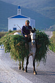 Ein alter Mann mit dem Pferd, in der nähe von Komi, Andros, Kykladen, Südliche Ägäis, Griechenland
