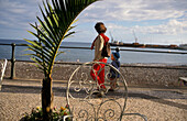 Harbour Promenade, Funchal, Avenida Arriaga, Madeira, Portugal