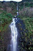 Waterfall on the cliff line, Seixal, Madeira, Portugal