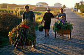 Farmers with carts, Castelo do Naiva, Portugal