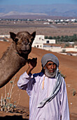 In der Sharqiya-Wueste bei, Al Mintirib Oman