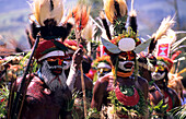 Local tribe with painted faces at the Sing Sing festival, Huli, Mt Hagen, Eastern Highlands, Papua New Guinea, Melanesia