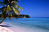 Beach, Atoll, Rangiroa, Tuamotu Islands French Polynesia, South Pacific